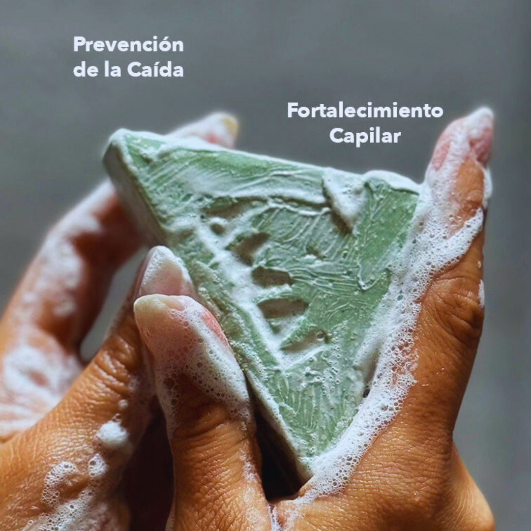 Dúo Anticaída | Shampoo & Acondicionador en Barra