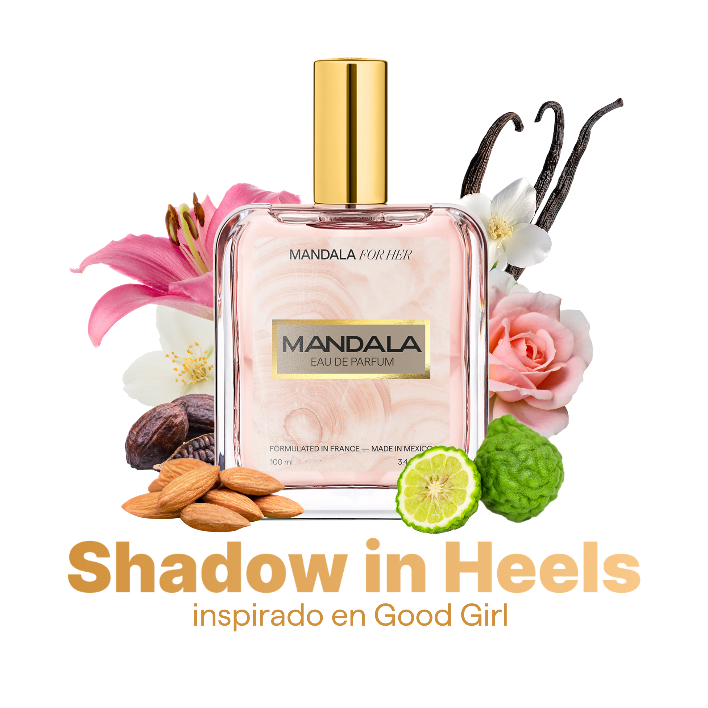 She is that Girl - Pack de nuestros 4 best sellers for Her