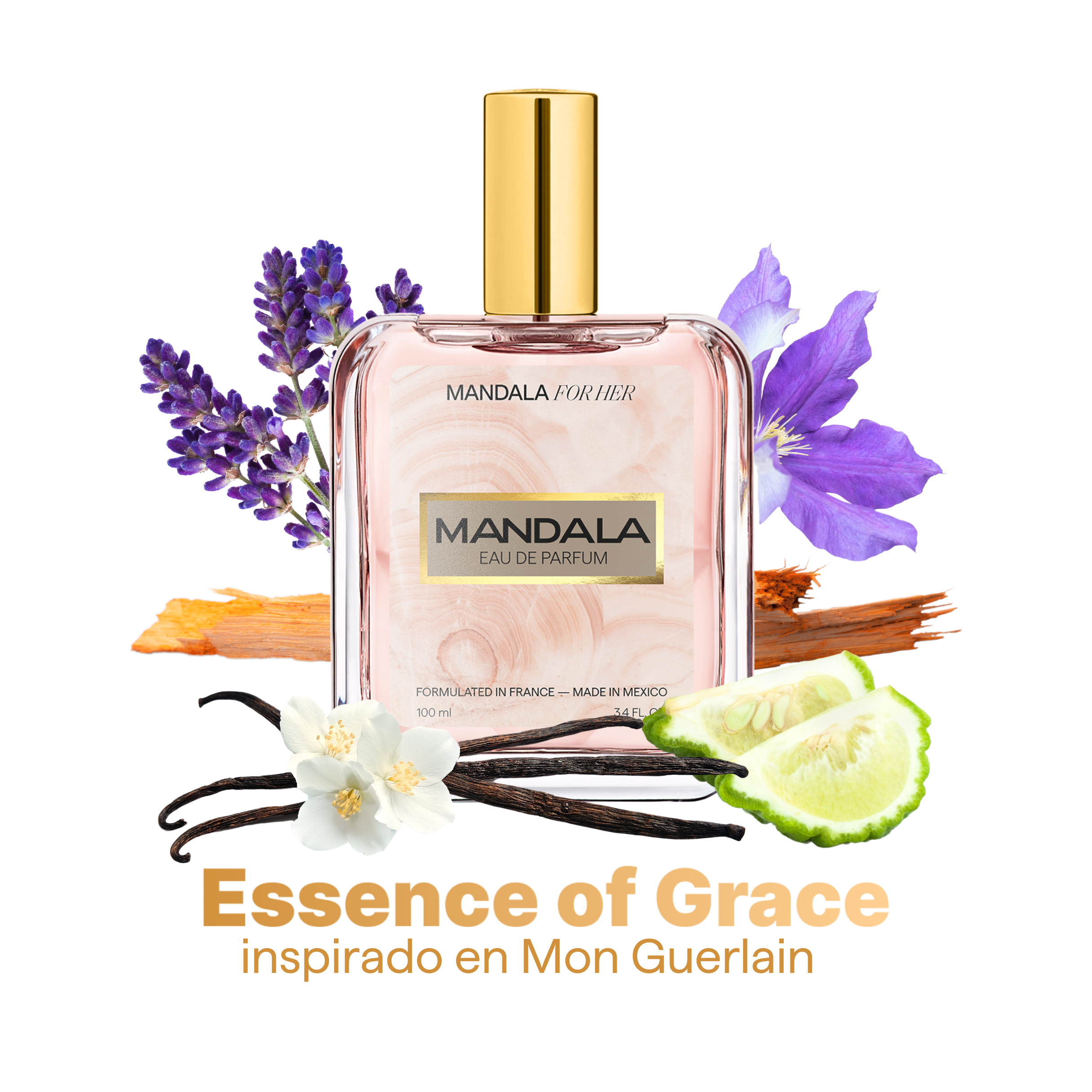 She is that Girl - Pack de nuestros 4 best sellers for Her